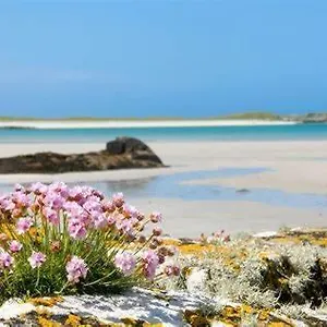 Gasthof Wild Atlantic Self-catering